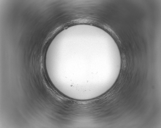 X0000051880486200507221953