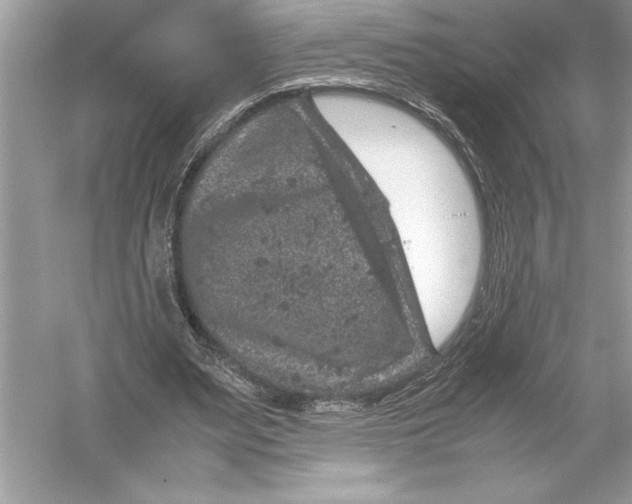 X0000051880487200507221953