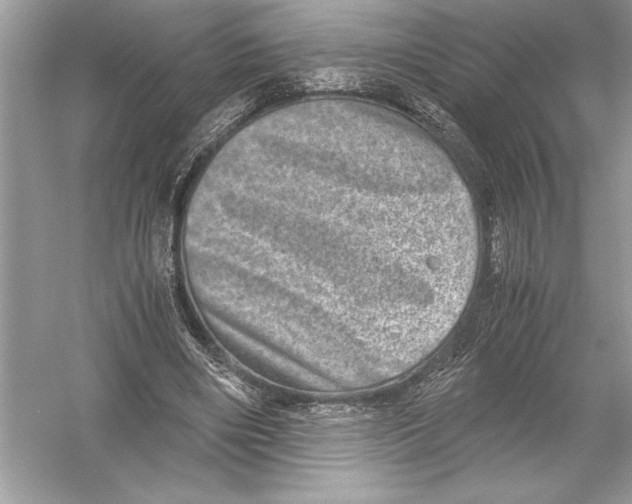 X0000051880490200507221953