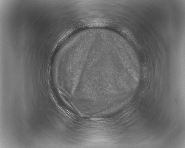 X0000051880491200507221953