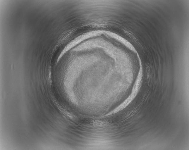 X0000051880494200507221953