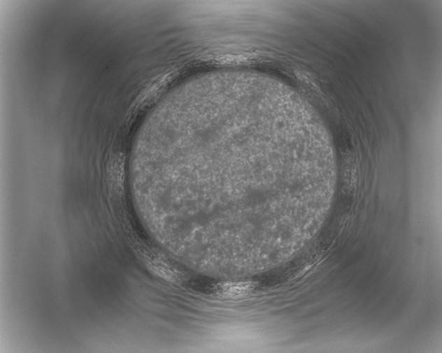 X0000051880495200507221953