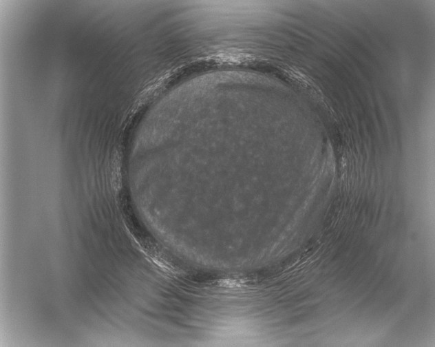 X0000051880496200507221953