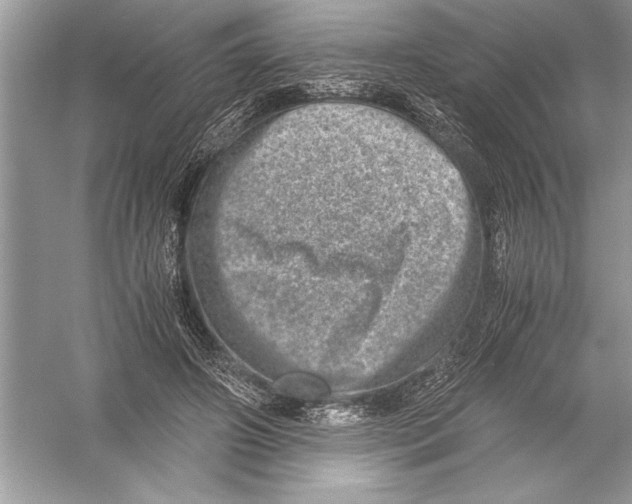 X0000051880498200507221953