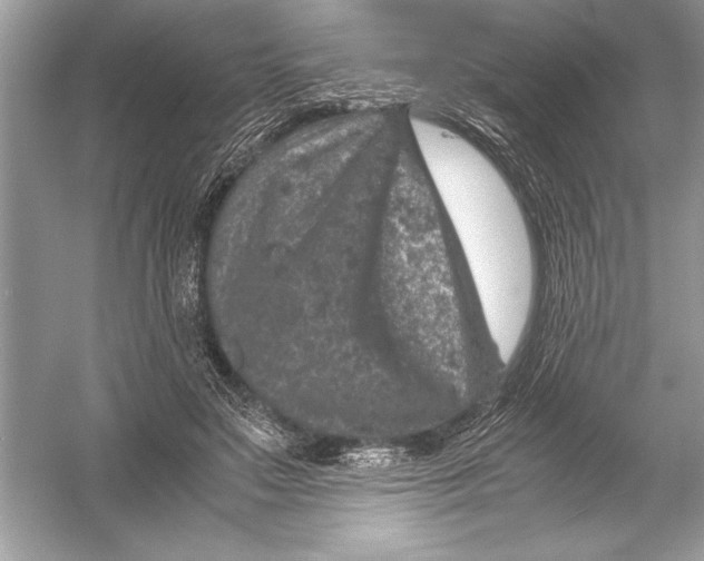 X0000051880499200507221953