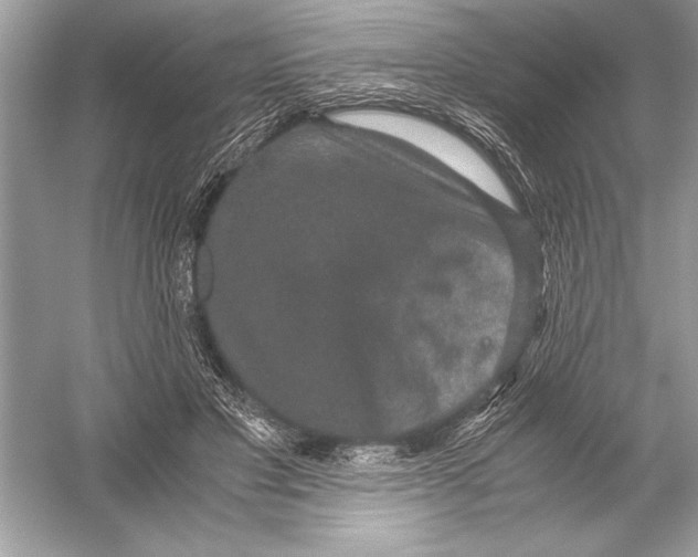 X0000051880501200507221953