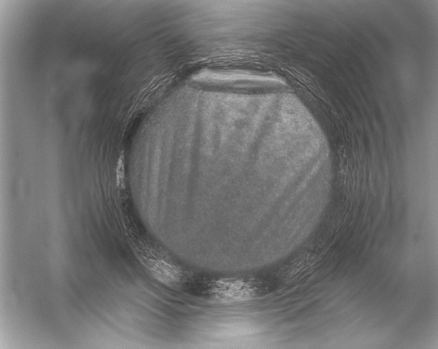 X0000051880502200507221953