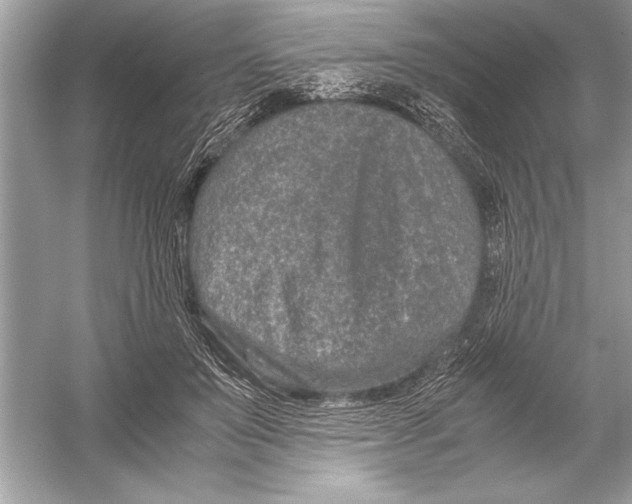 X0000051880503200507221953