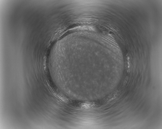 X0000051880504200507221953