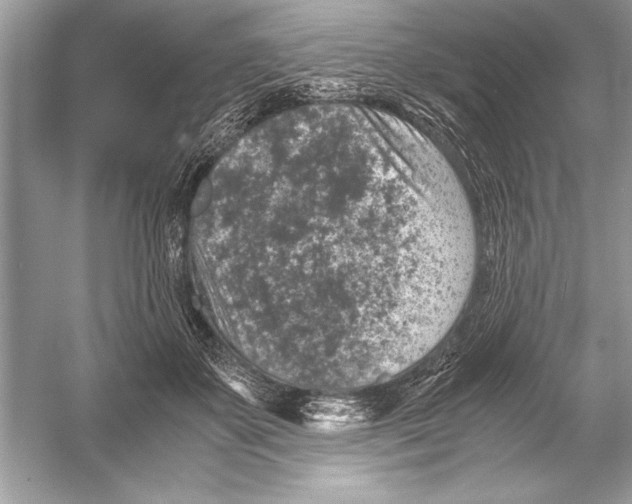 X0000051880507200507221953