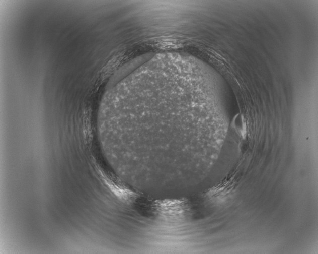 X0000051880512200507221953