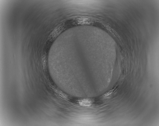 X0000051880513200507221953