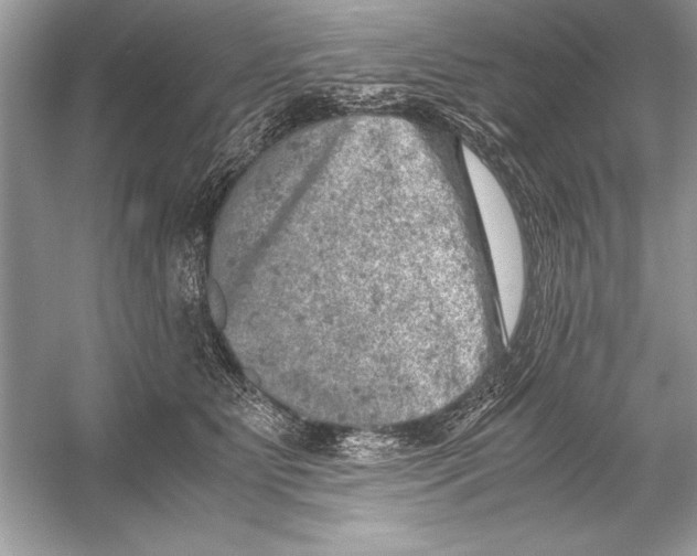 X0000051880515200507221953