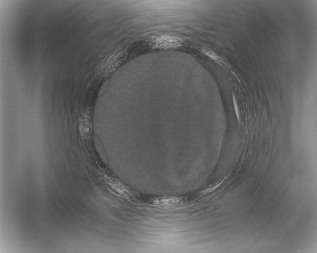 X0000051880517200507221953