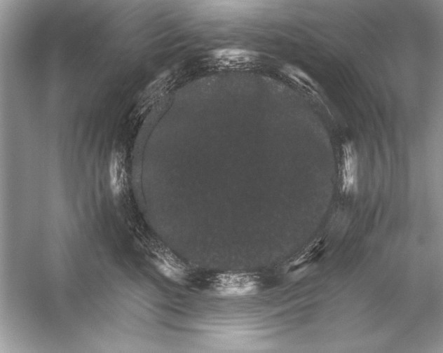 X0000051880520200507221953