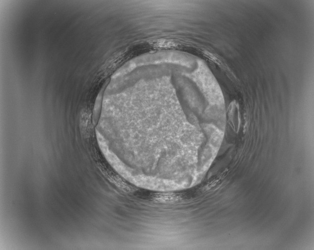 X0000051880521200507221953