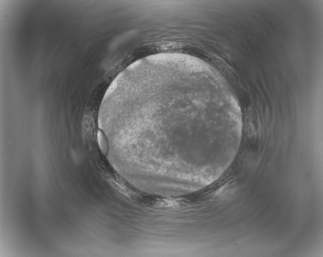 X0000051880523200507221953