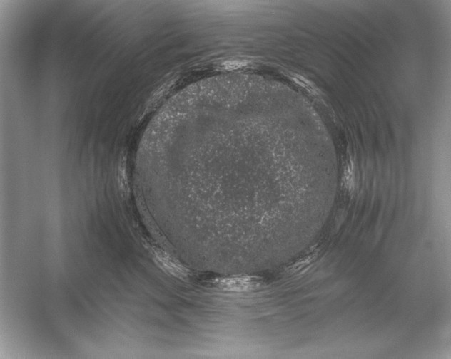 X0000051880524200507221953