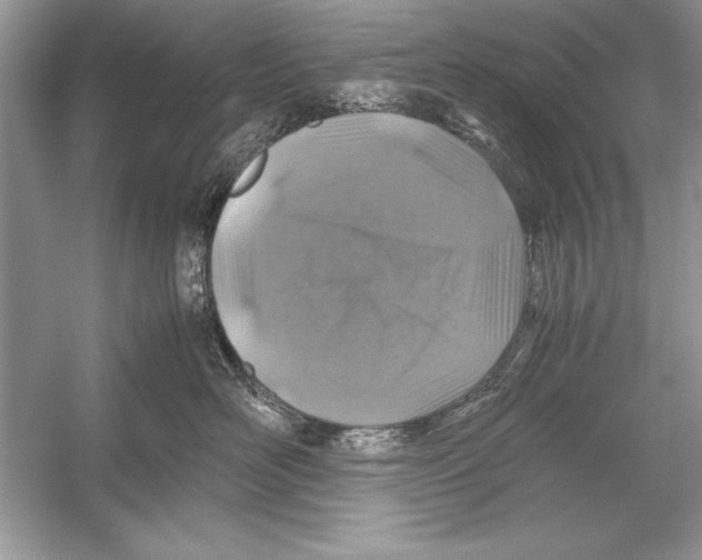 X0000051880526200507221953