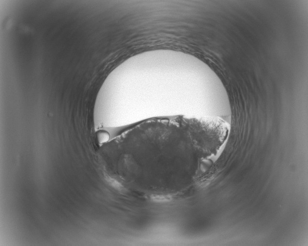 X0000051880527200507221953