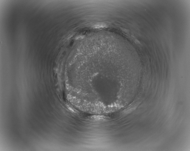 X0000051880528200507221953