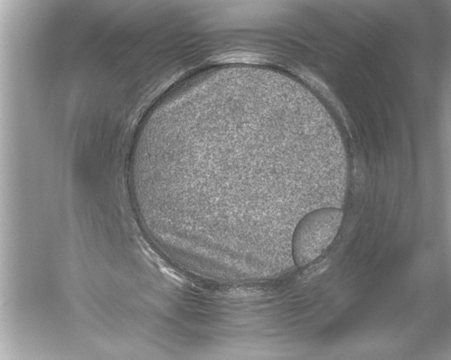 X0000051880529200507221952