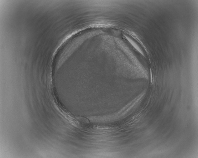 X0000051880531200507221952