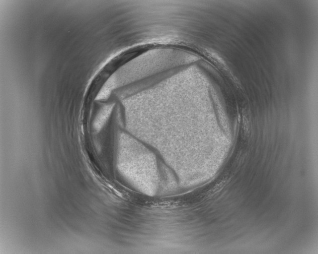 X0000051880532200507221952