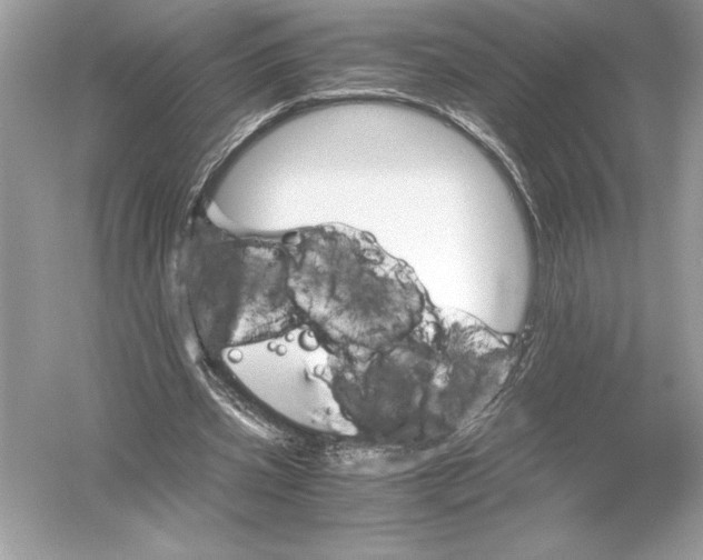 X0000051880533200507221952