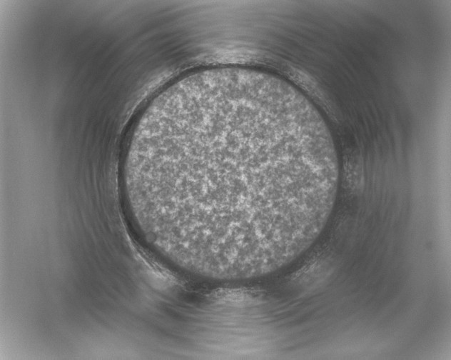 X0000051880534200507221952