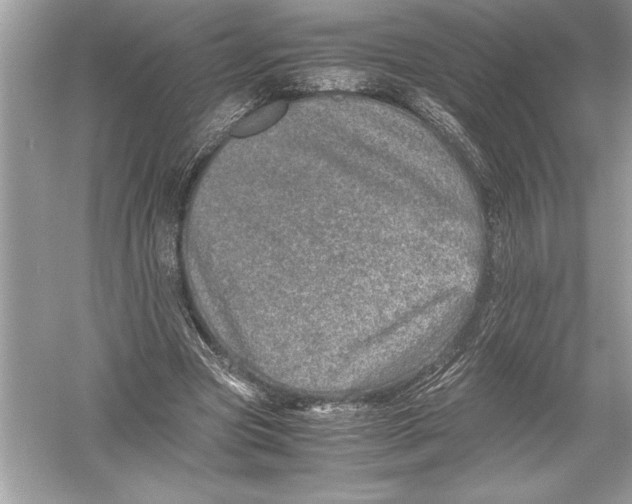 X0000051880537200507221952