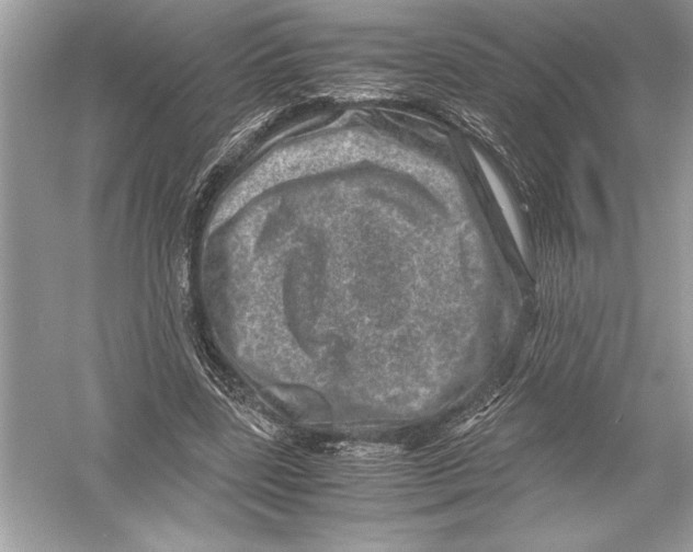 X0000051880539200507221952