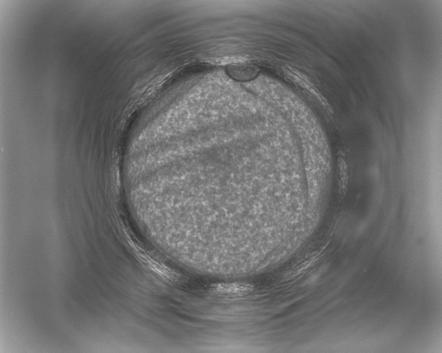 X0000051880541200507221952