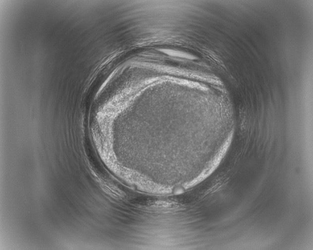 X0000051880542200507221952