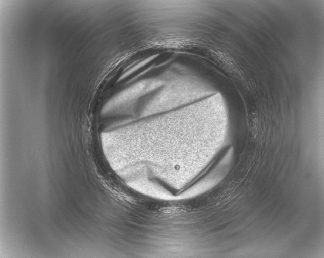 X0000051880544200507221952