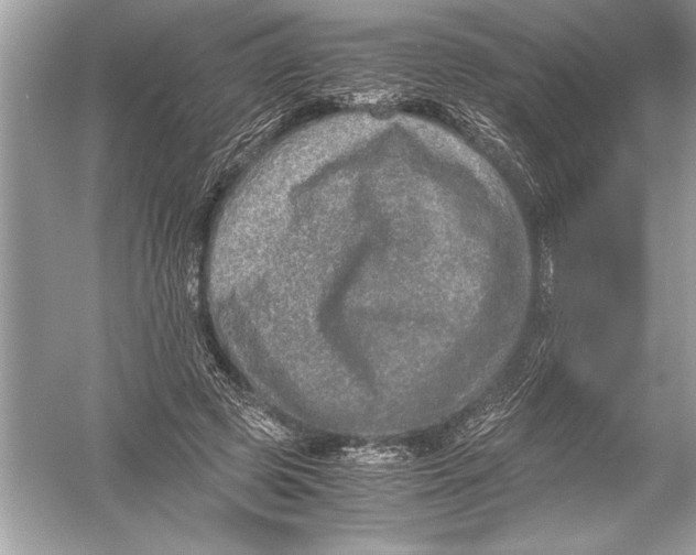 X0000051880545200507221952