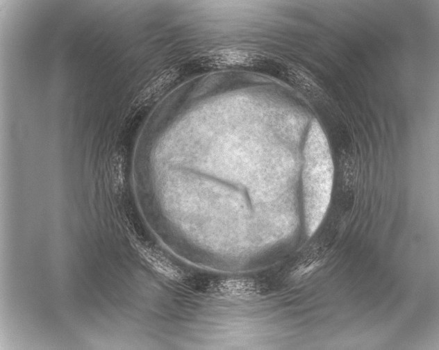 X0000051880546200507221952