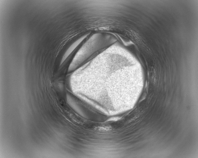 X0000051880548200507221952