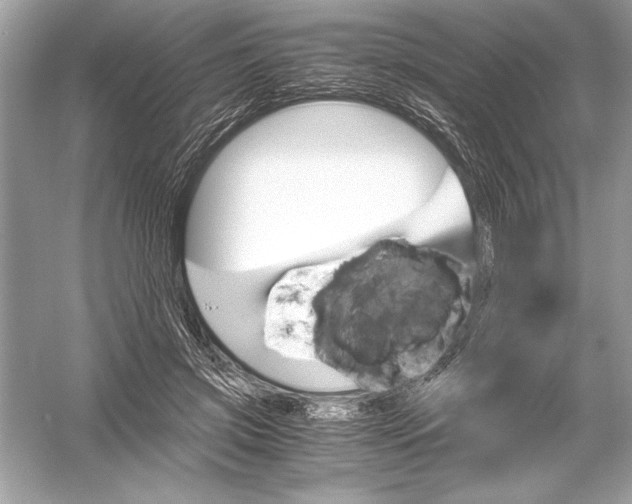 X0000051880549200507221952