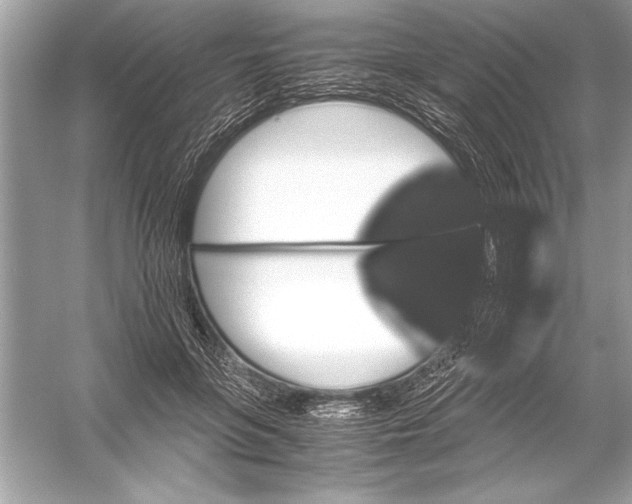 X0000051880551200507221952