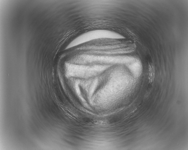 X0000051880552200507221952