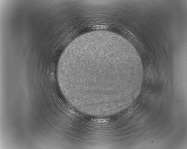 X0000051880553200507221952