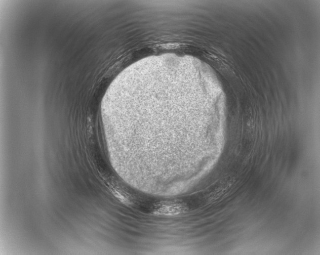 X0000051880555200507221952