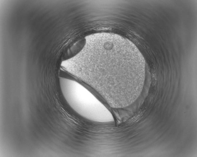 X0000051880556200507221952