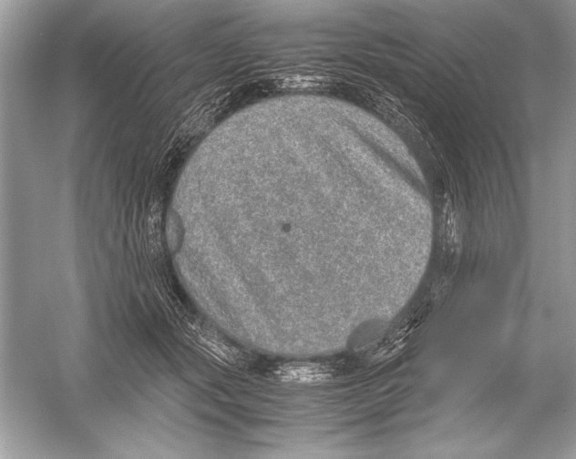 X0000051880557200507221952