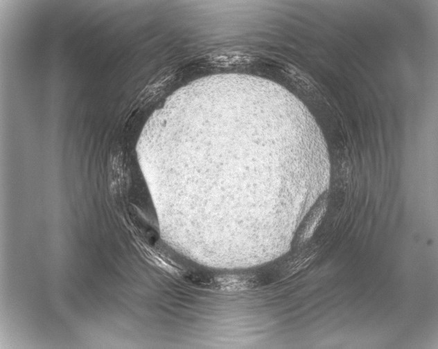 X0000051880558200507221952