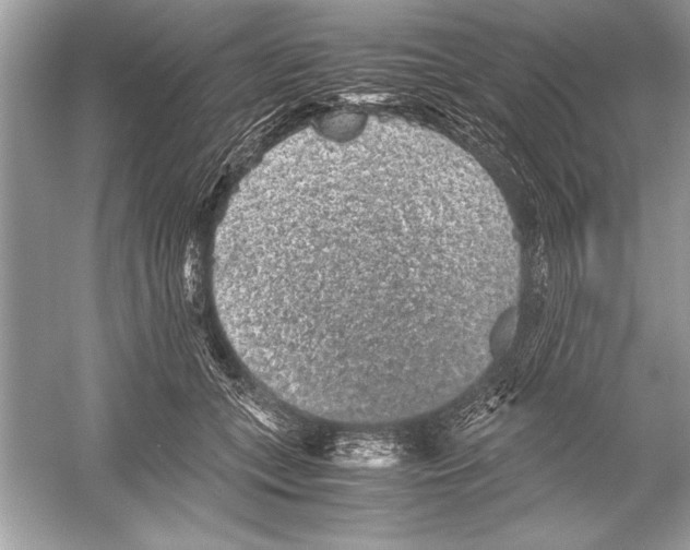 X0000051880559200507221952