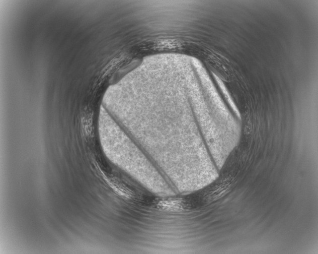 X0000051880560200507221952