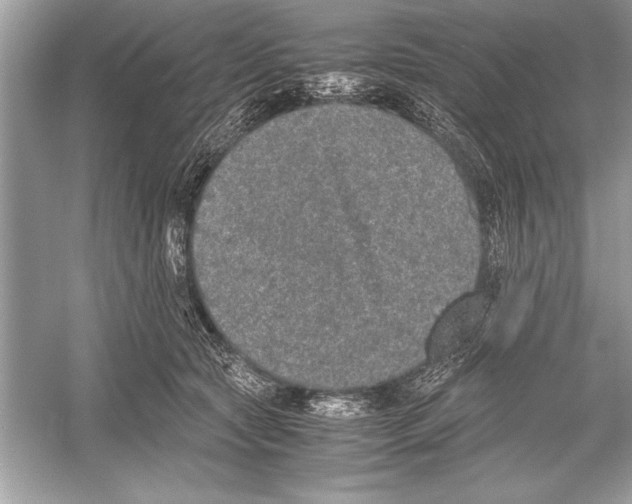 X0000051880561200507221952