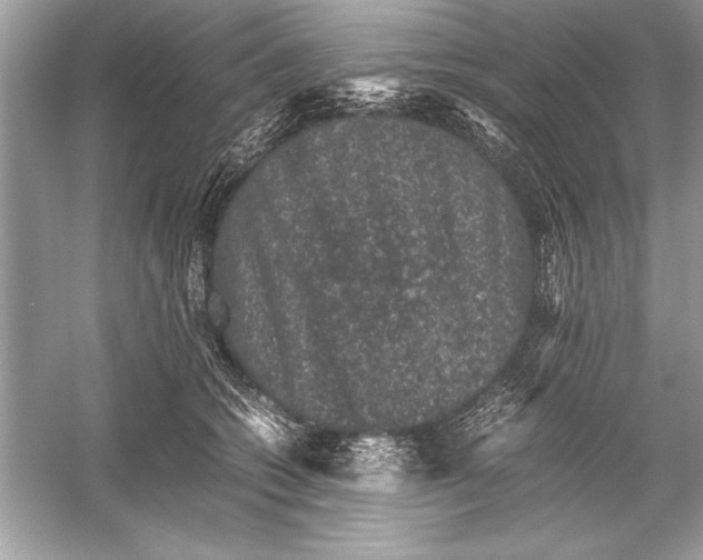 X0000051880562200507221952